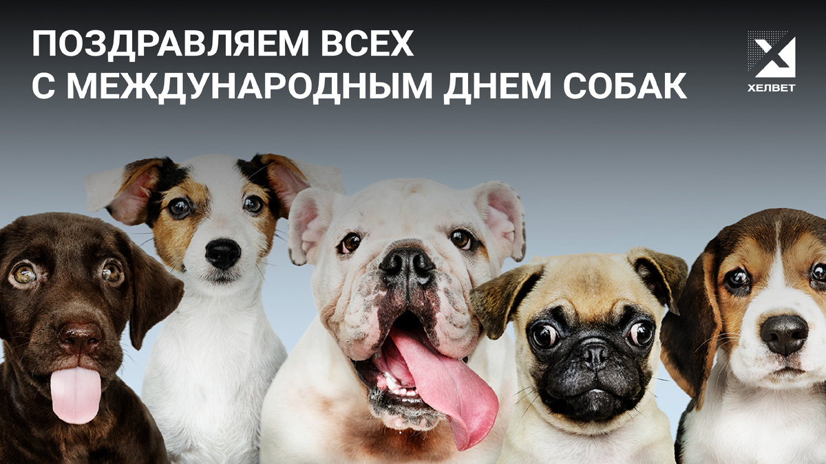 Изображение от rawpixel.com на Freepik