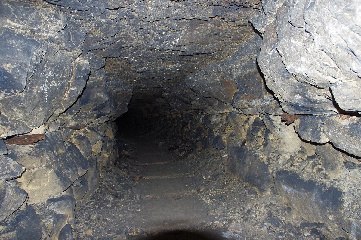 Источник: wikipedia.org Автор: Artem Svetlov