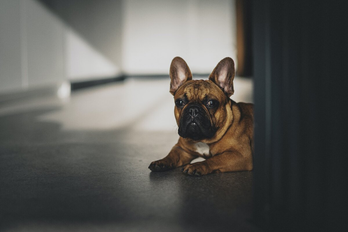 Источник: Unsplash Автор: Egor Myznik