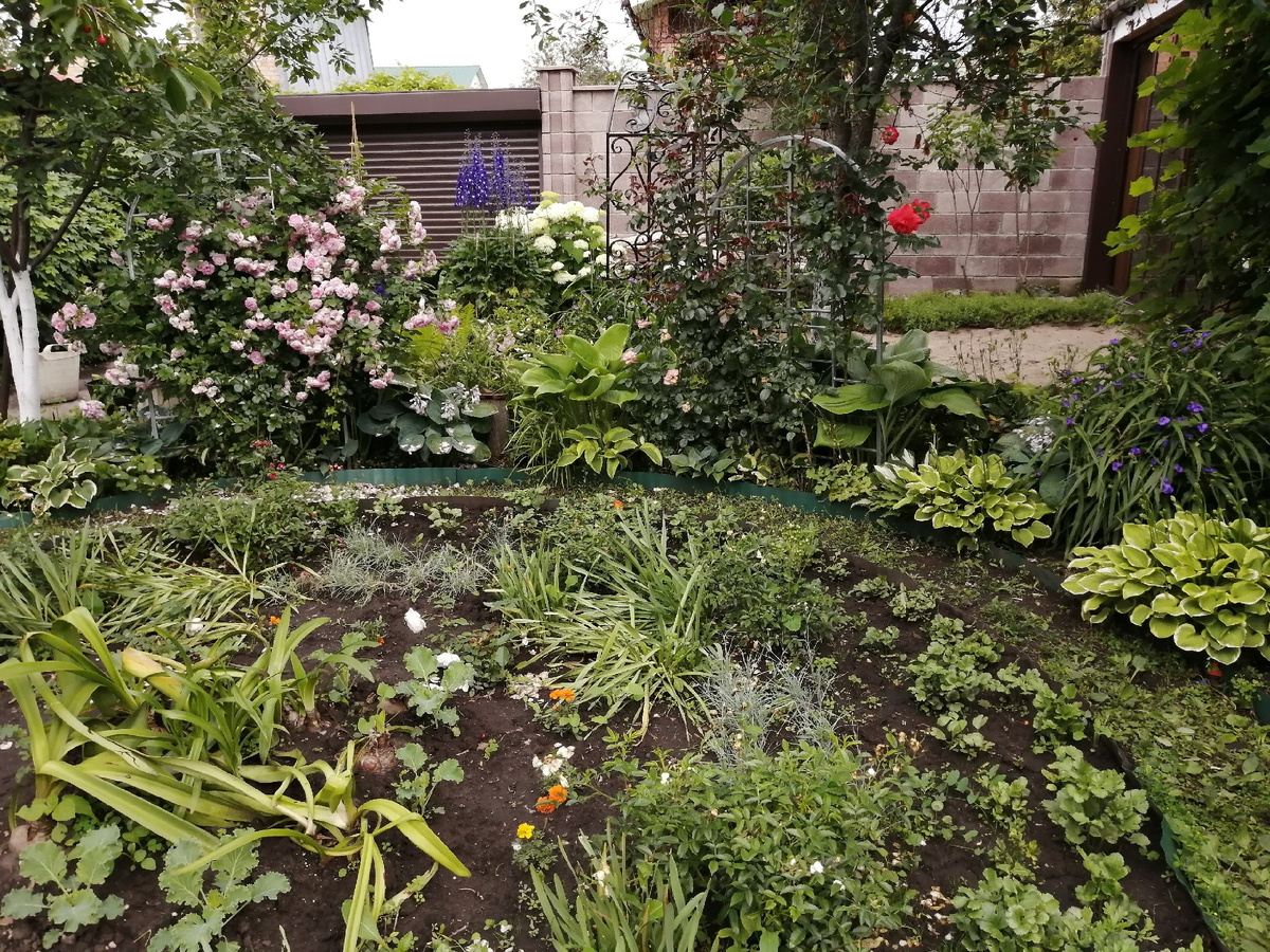 Вид, когда по дорожке проехала газонокосилка