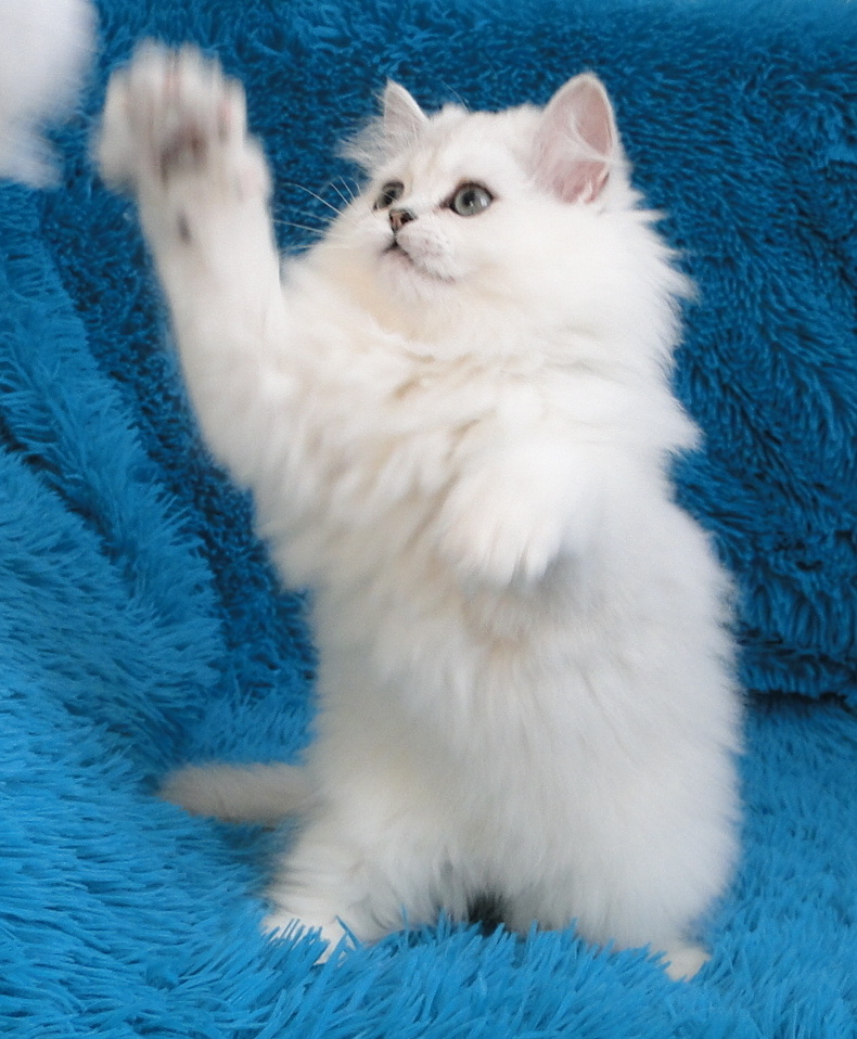 ФОТО ИЗ ЛИЧНОГО АРХИВА