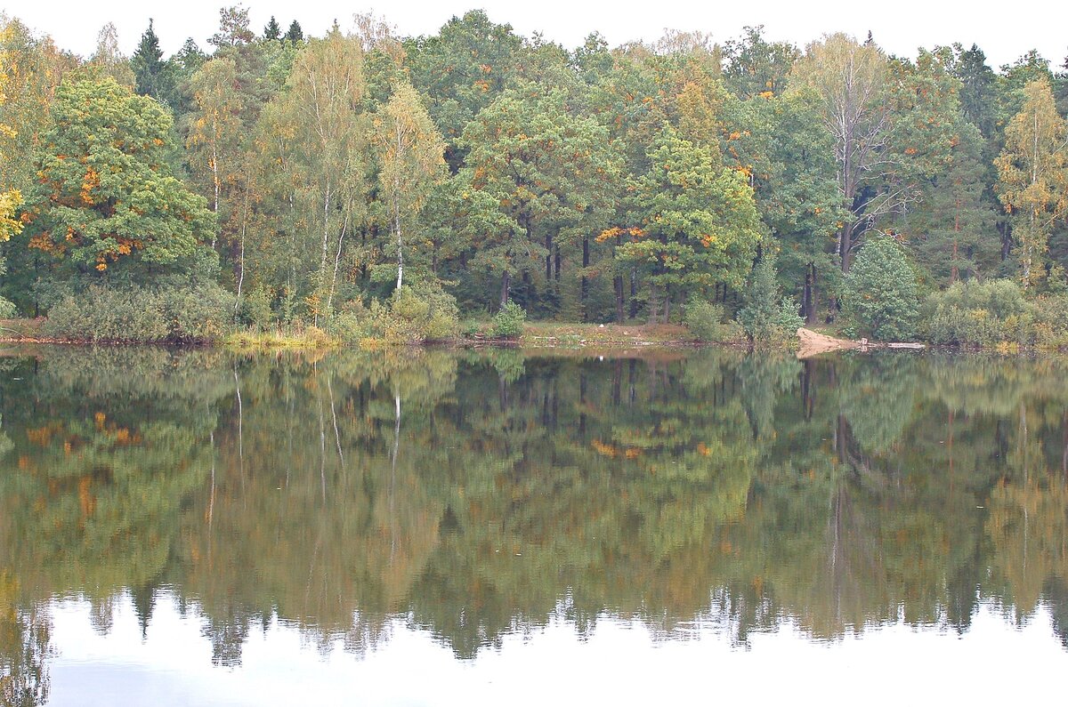 Источник: wikipedia.org Автор: A-DIR CC BY 3.0