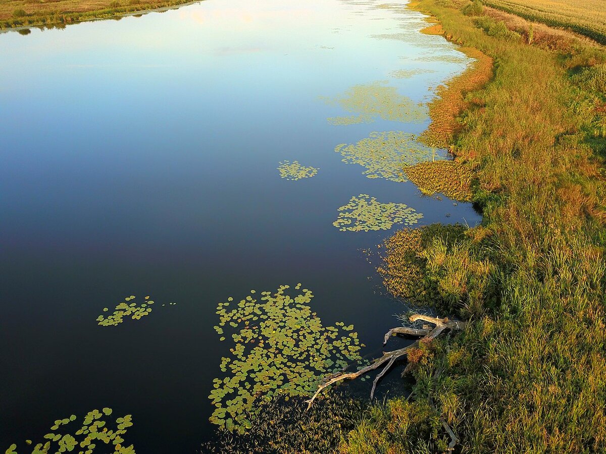 Источник: wikipedia.org Автор: Кочевники