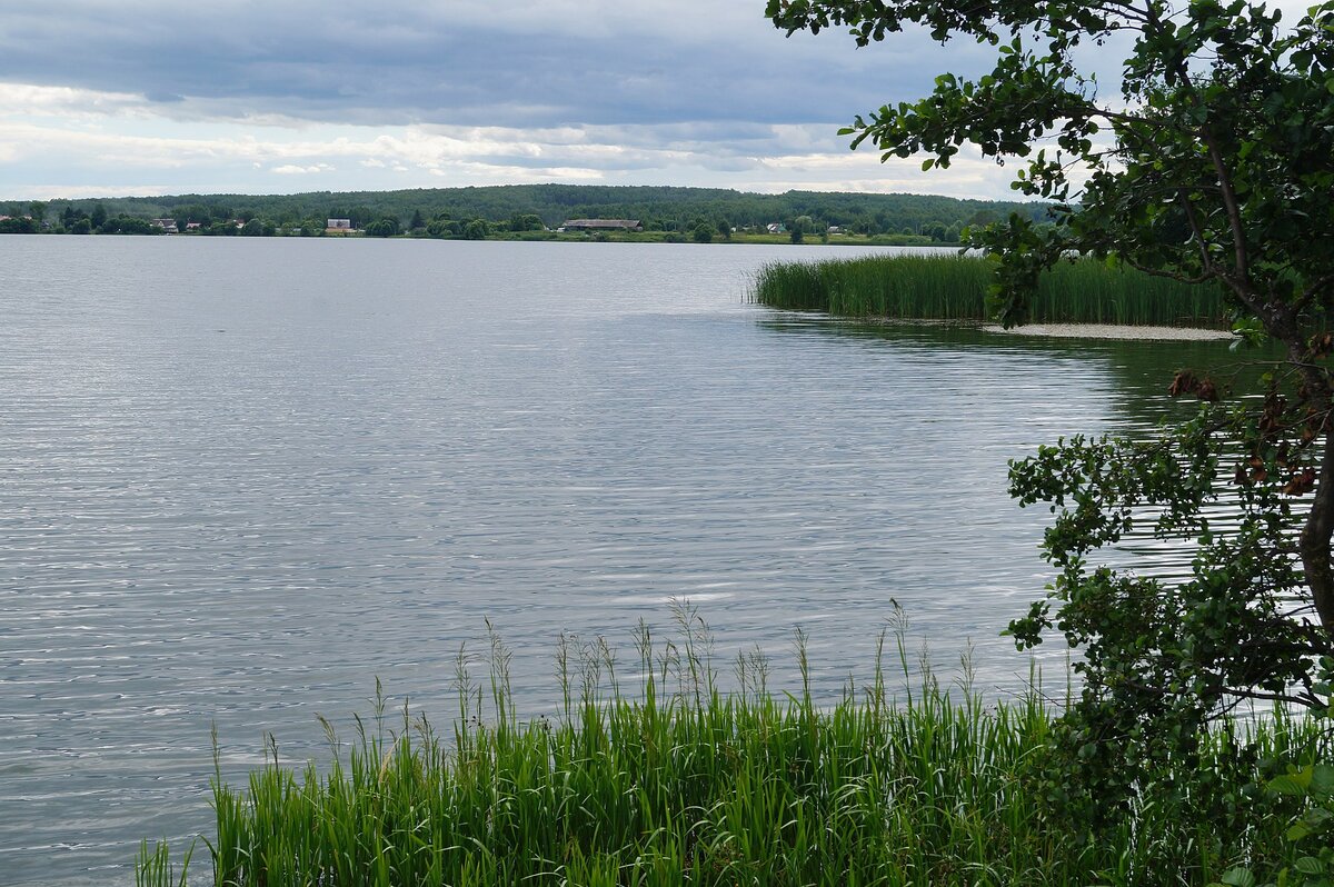 Источник: wikipedia.org Автор: Nicolas-a