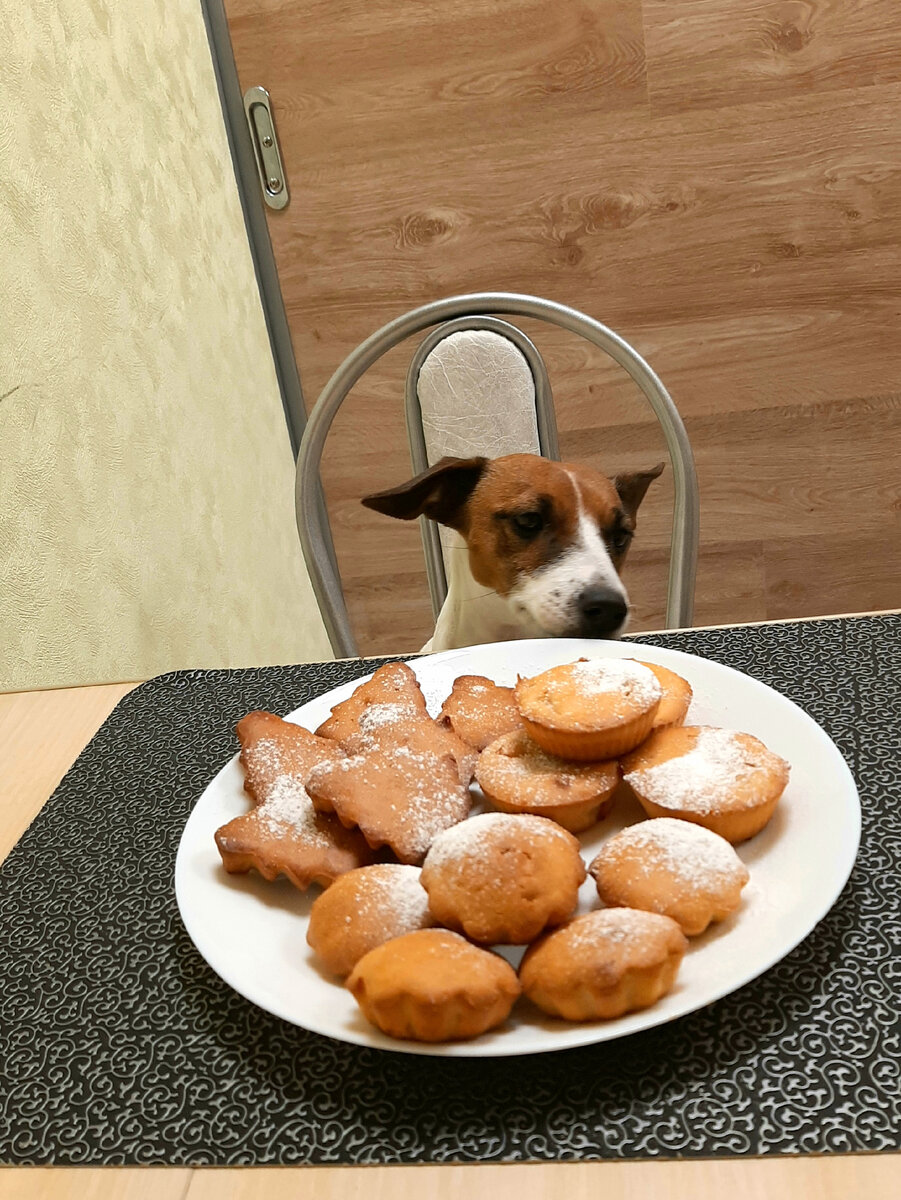 Творожные маффины в силиконовых формочках в духовке — классический рецепт + 7 фото