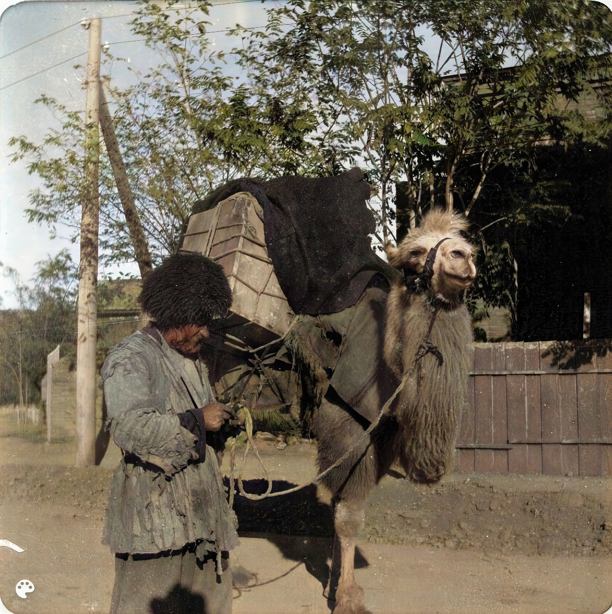 1899 год - Горожанин с верблюдом