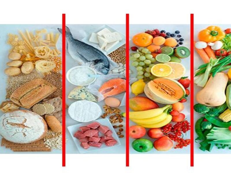 разделение питательных элементов на группы