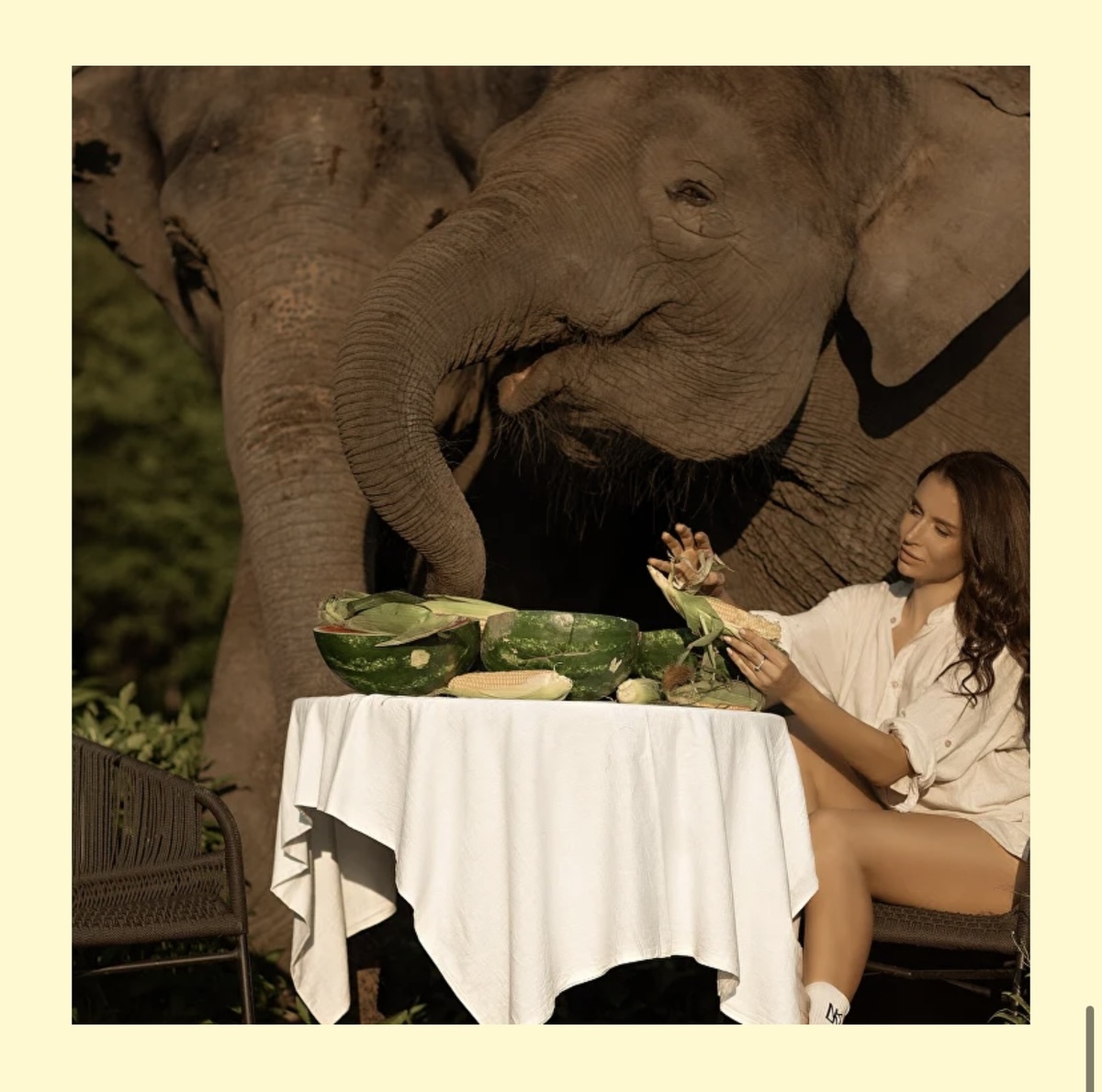 Фото с сайта slonsochi.ru - услуга завтрак со слонами 