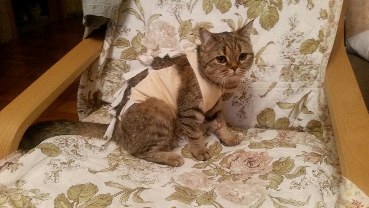 ФОТО ИЗ ЛИЧНОГО АРХИВА