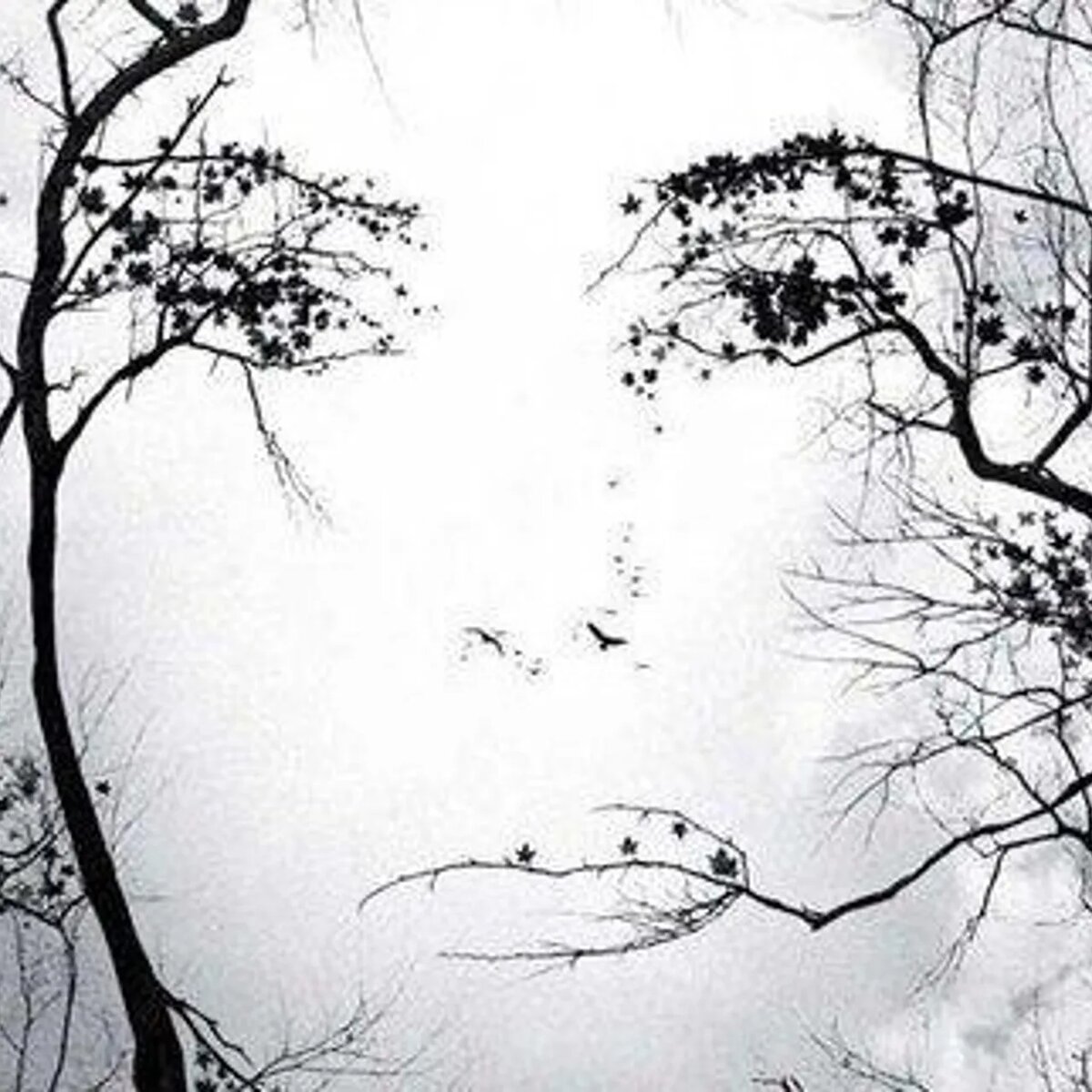 Примеры парейдолии в повседневной жизни

