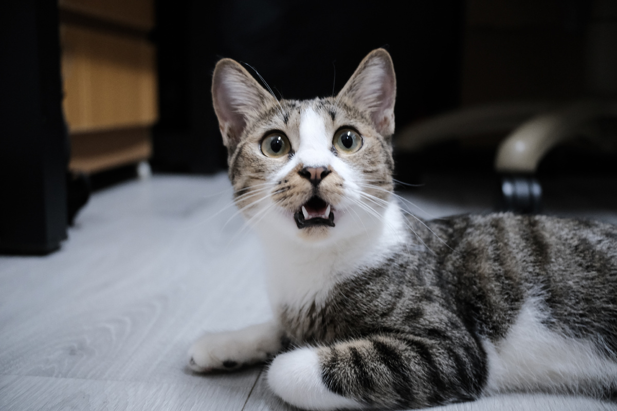 @Cookie Production/Shutterstock.com 