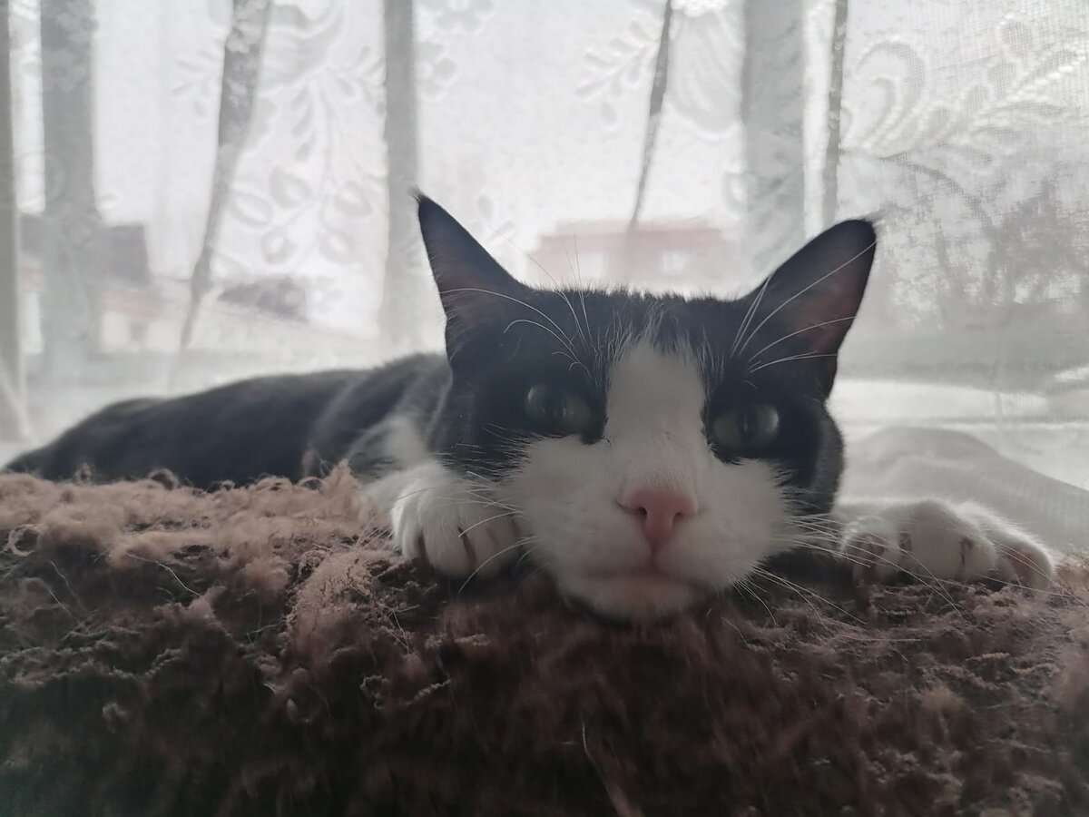 Фото автора