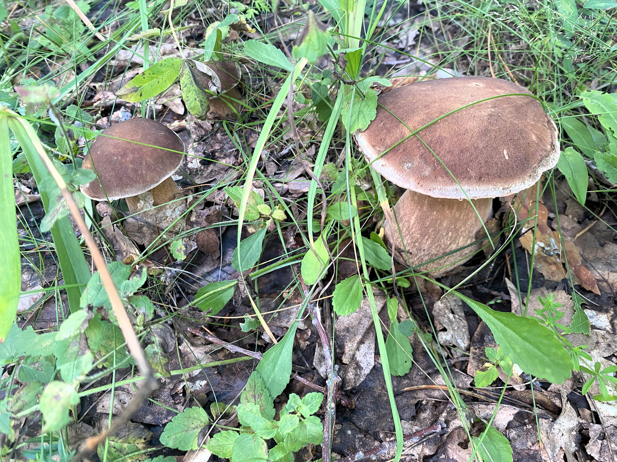 мммм!  Это очень вкусно!