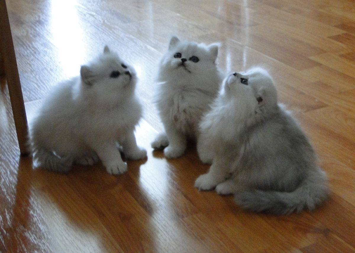 Фото из личного архива