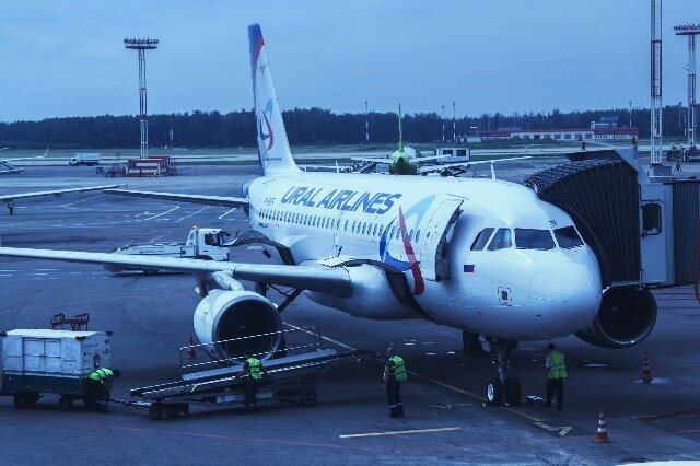 Фото: pixabay.com