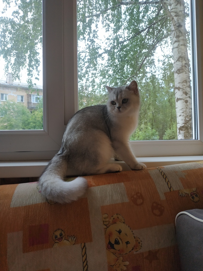 ФОТО ИЗ ЛИЧНОГО АРХИВА