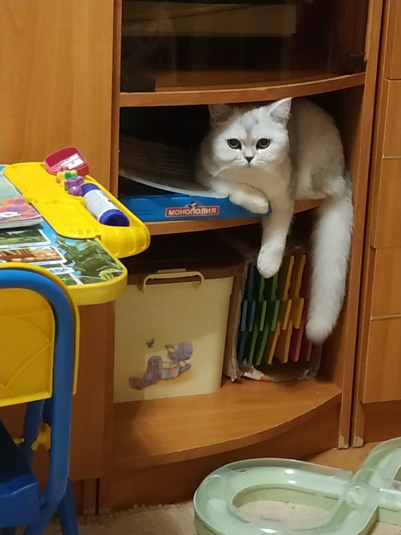 ФОТО ИЗ ЛИЧНОГО АРХИВА