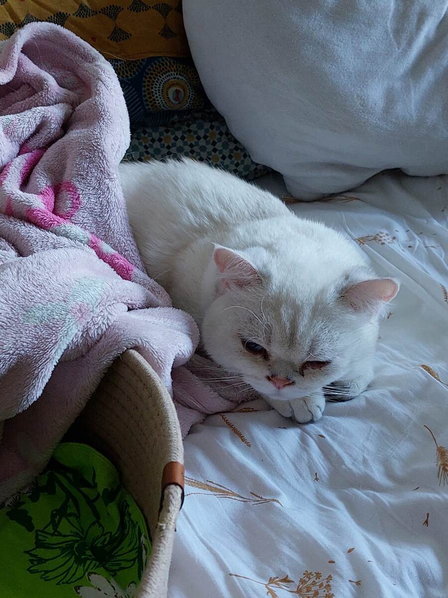 ФОТО ИЗ ЛИЧНОГО АРХИВА