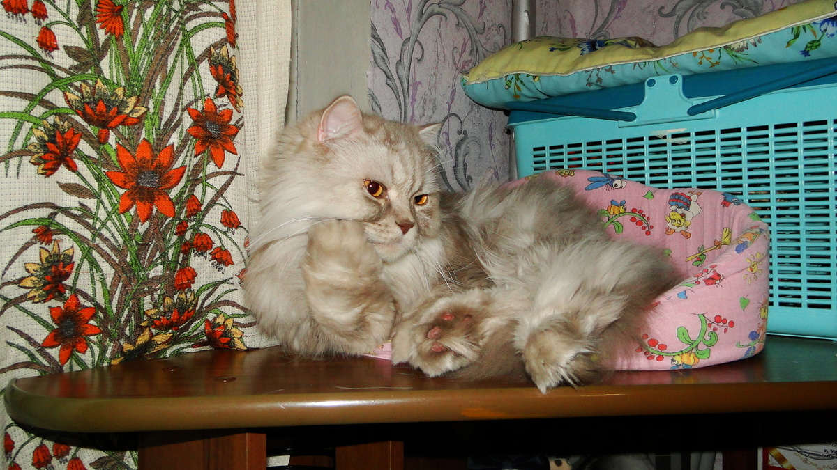 Фото из личного архива