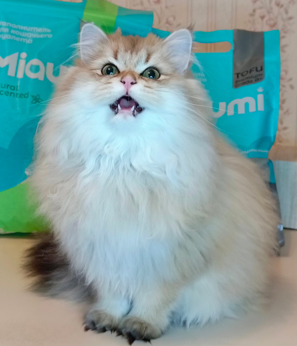 Фото из личного архива