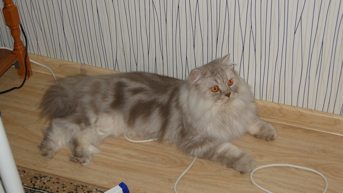 Фото из личного архива