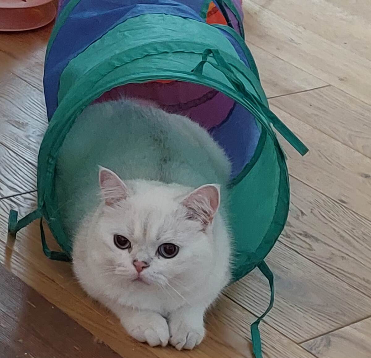 ФОТО ИЗ ЛИЧНОГО АРХИВА