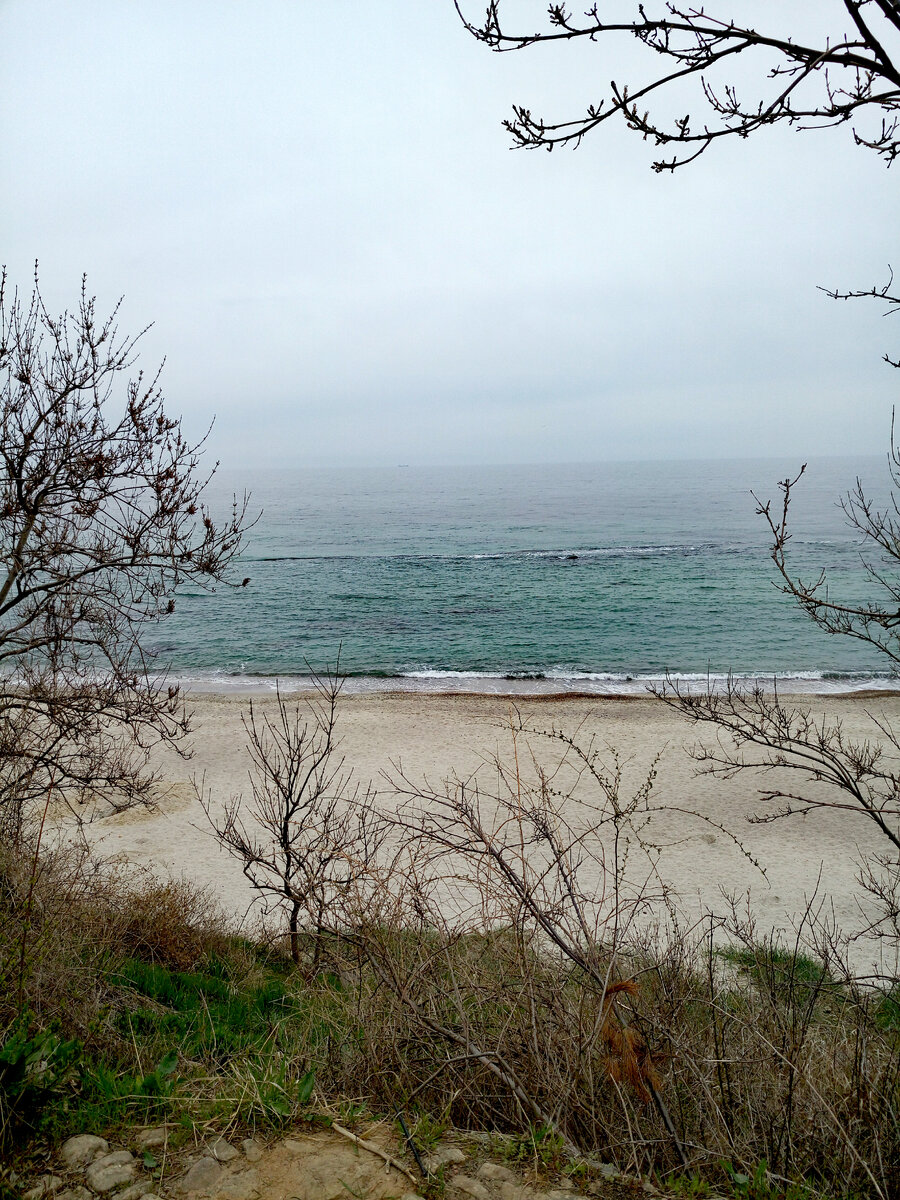 фото из личного архива автора канала ВОЛШЕБНЫЕ ИСТОРИИ