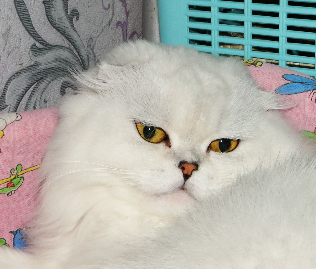 Фото из личного архива