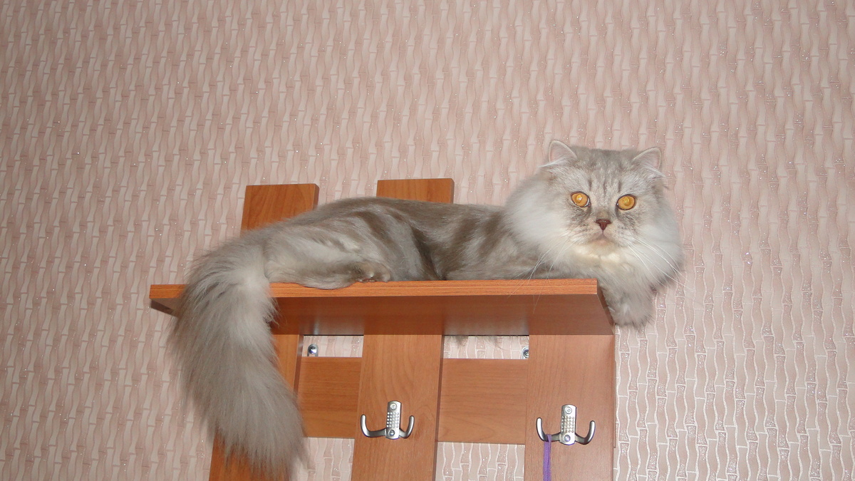 Фото из личного архива