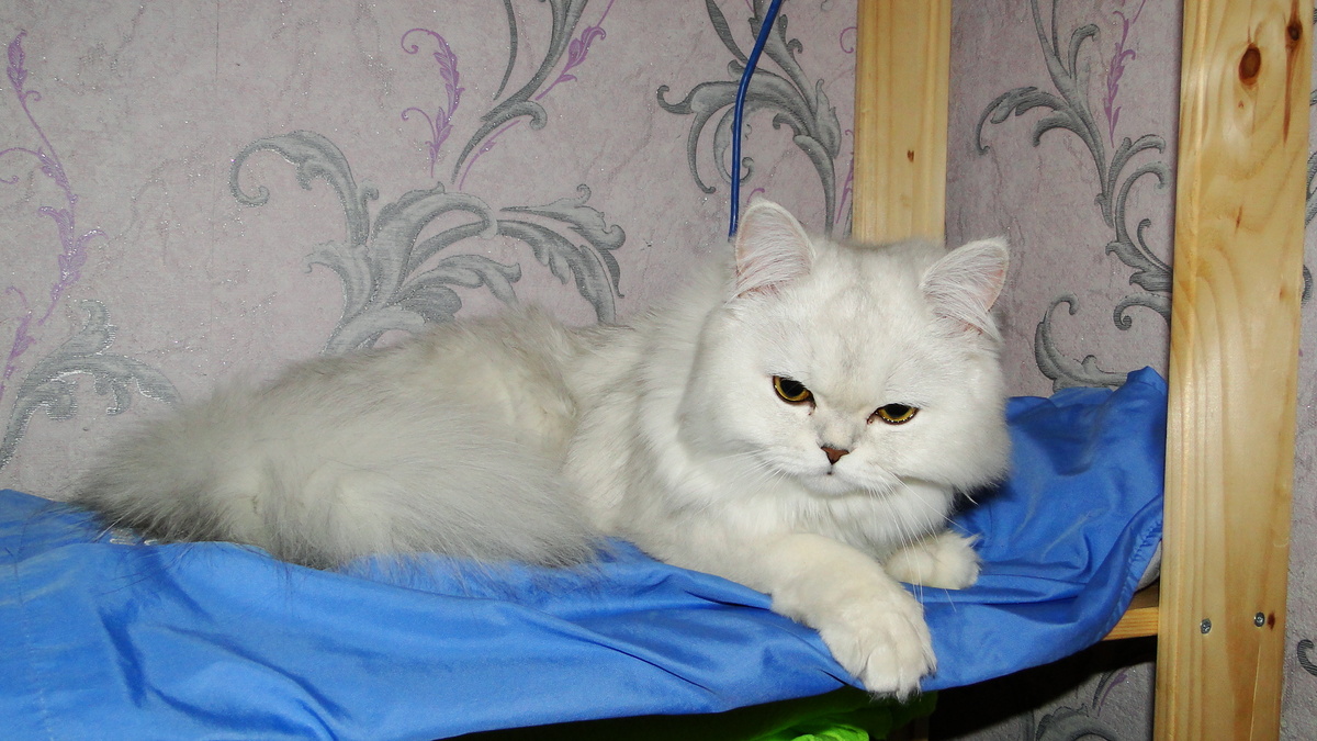 Фото из личного архива