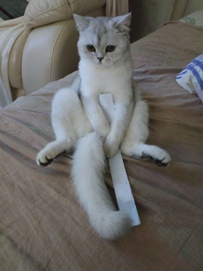 ФОТО ИЗ ЛИЧНОГО АРХИВА