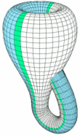 Бутылка Клейна.