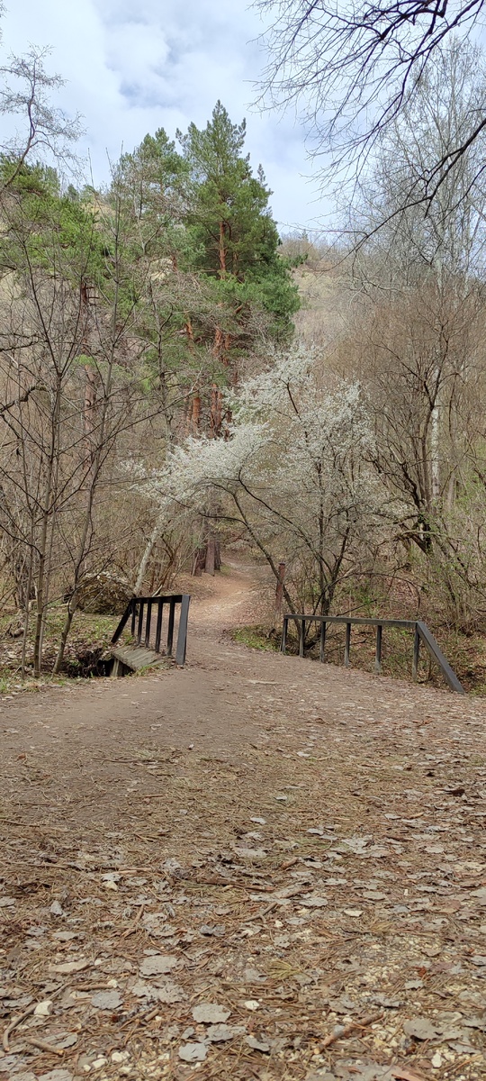Весенний Кисловодский парк