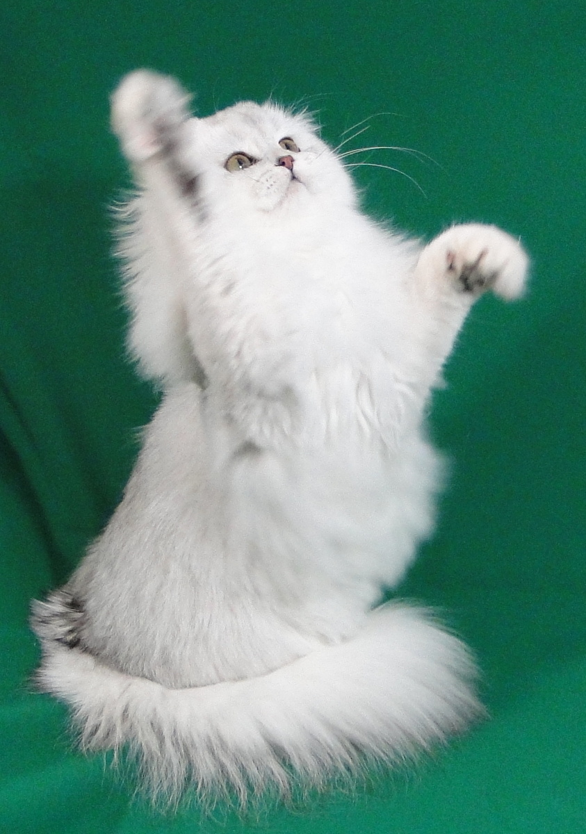 Фото из личного архива