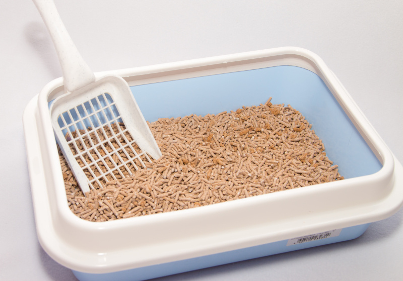 Фото из личного архива