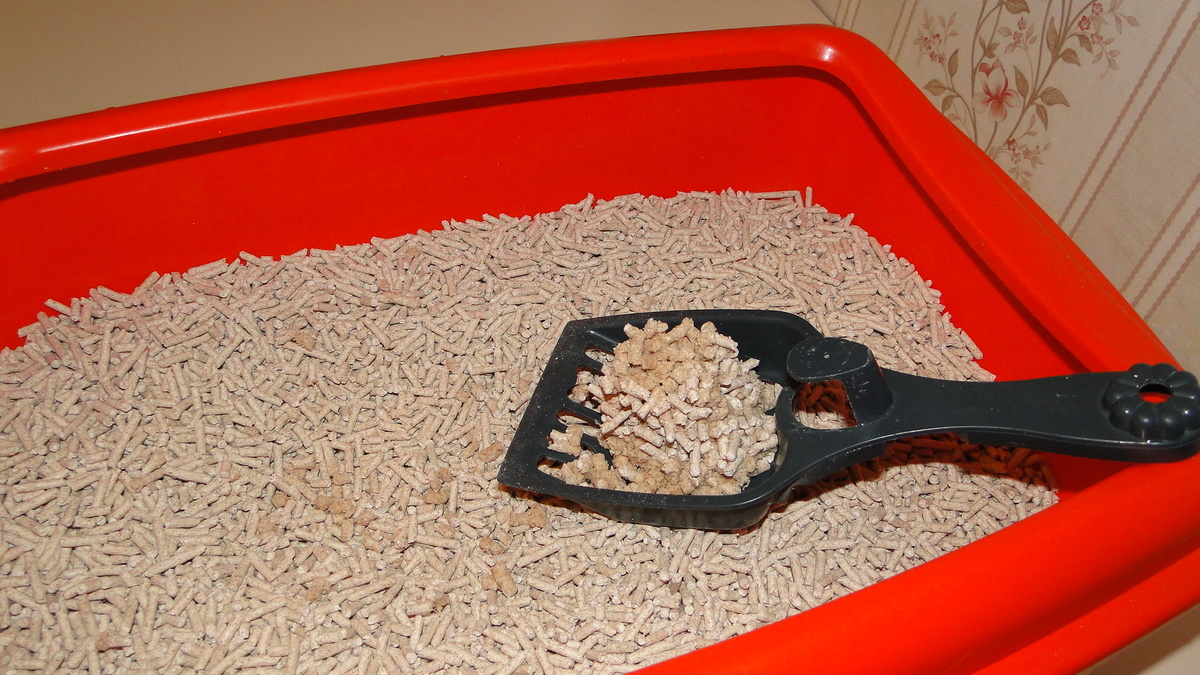 ФОТО ИЗ ЛИЧНОГО АРХИВА