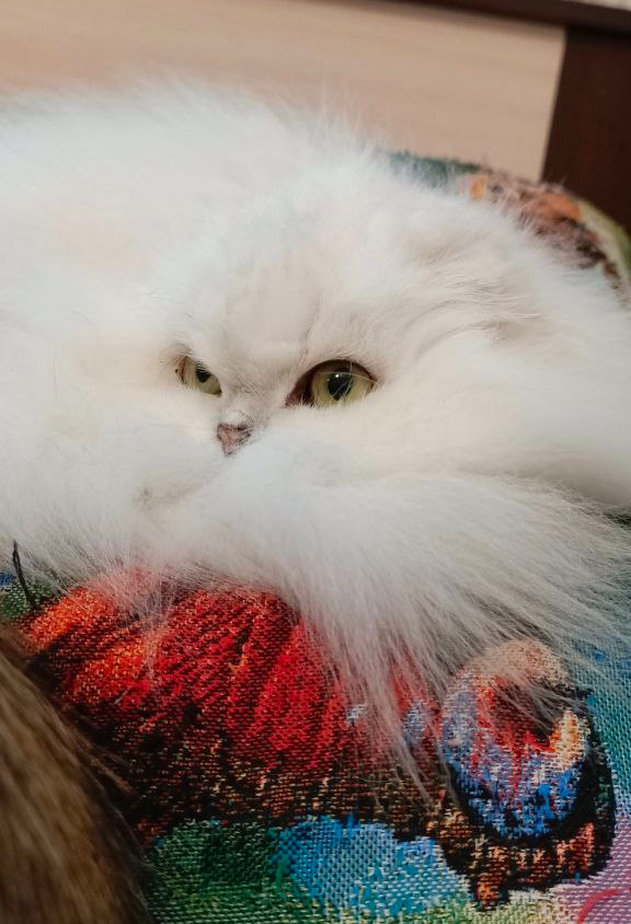 Фото из личного архива