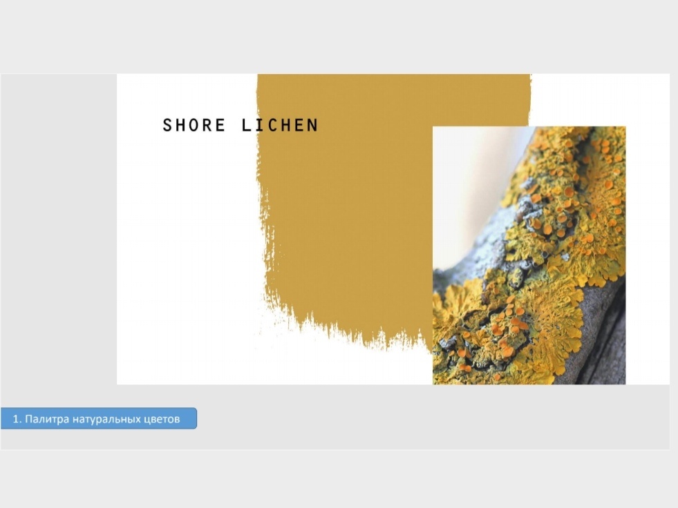 Желтый лишайник -  хорошее сочетание с серым. 