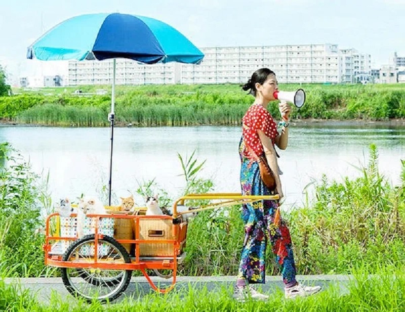 Кадр из фильма «Кошка напрокат»