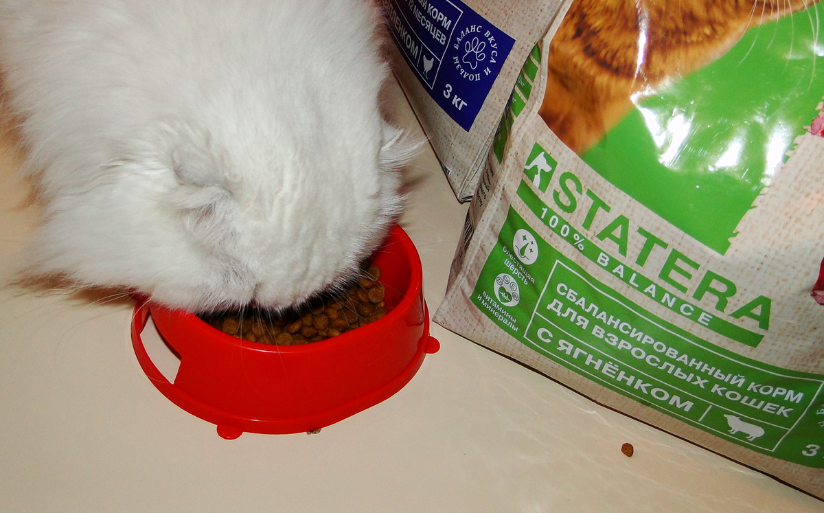 Фото из личного архива