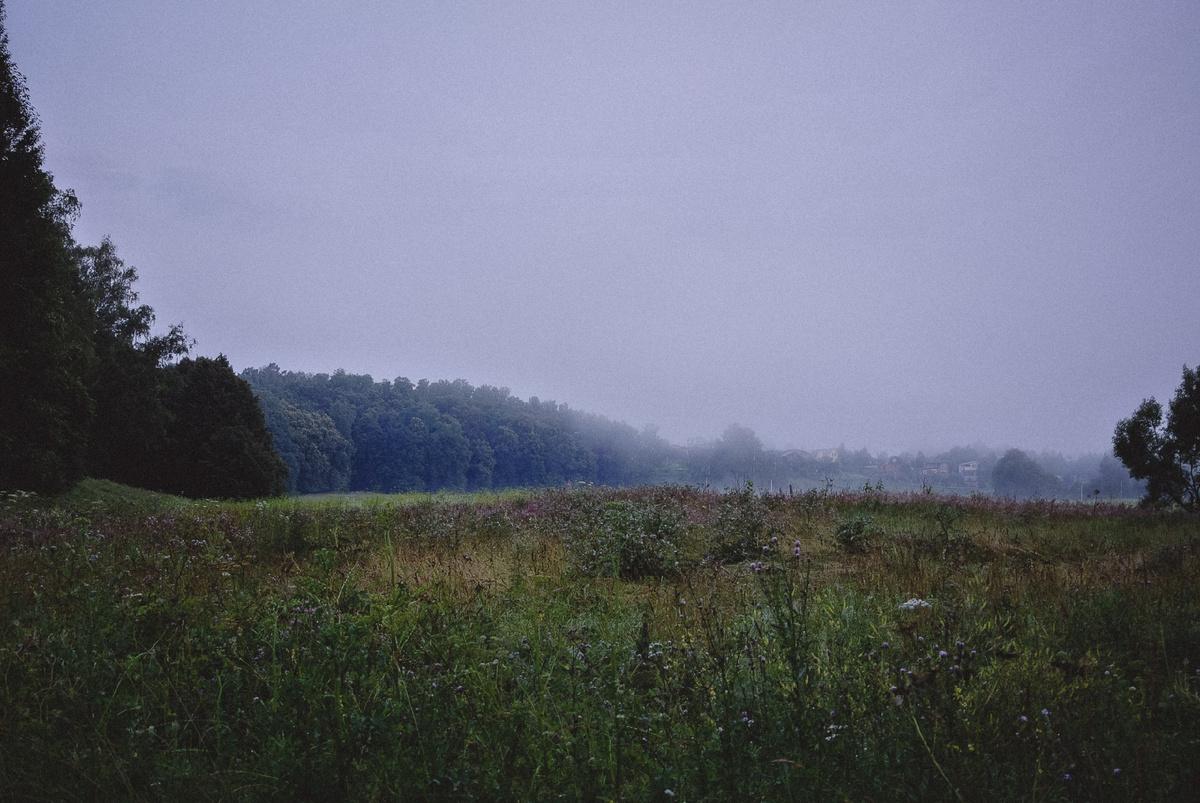 Фото: Александр Моргунов