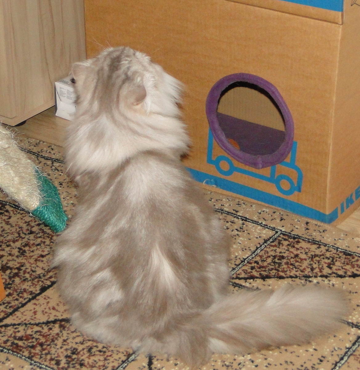 Фото из личного архива