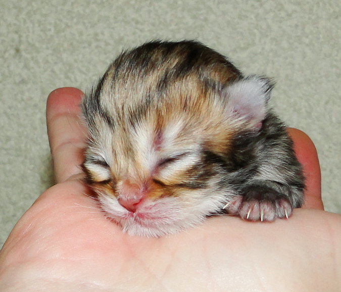 ФОТО ИЗ ЛИЧНОГО АРХИВА