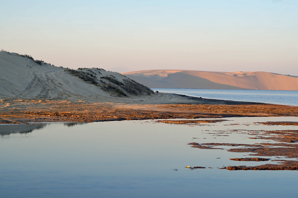 Once the dune bashers in their Land Crusiers have gone home, the desert becomes quite tranquil. Авторство: Steven Byles from Singapore, Singapore. Desert Coast, CC BY-SA 2.0, https://commons.wikimedia.org/w/index.php?curid=30822873 Изменения не вносились