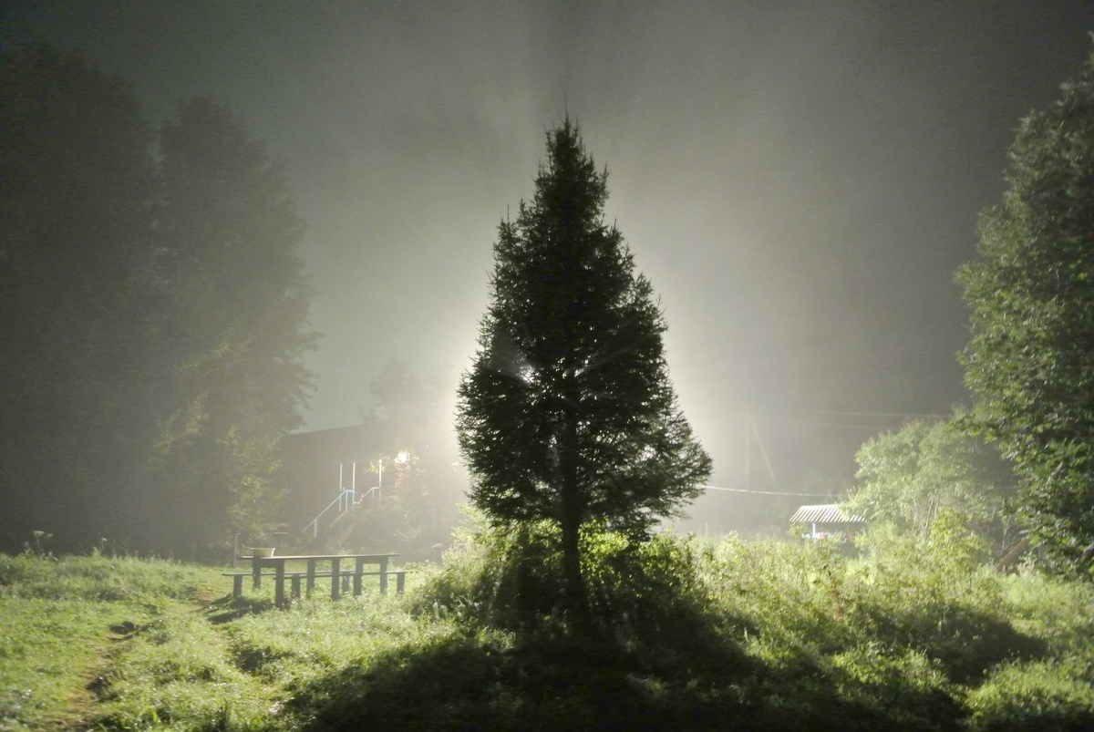 Фото: Александр Моргунов