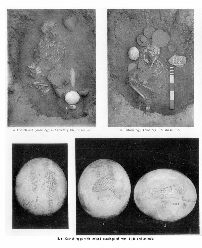 Firth C. M., The Archaeological Survey of Nubia. Report for 1909–1910. Cairo, Government Press, 1915. Plate 11