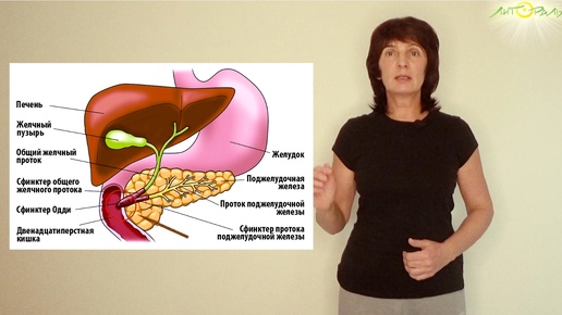 Самомассаж для нормализации желчеоттока