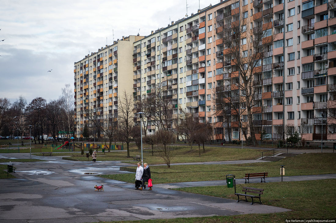 Взято из открытых источников.