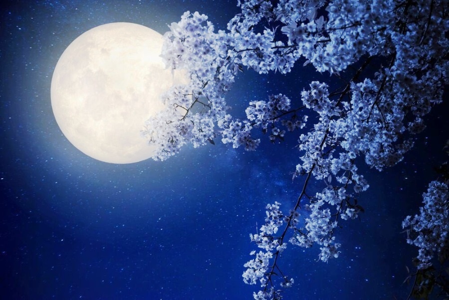 Гороскоп Будды