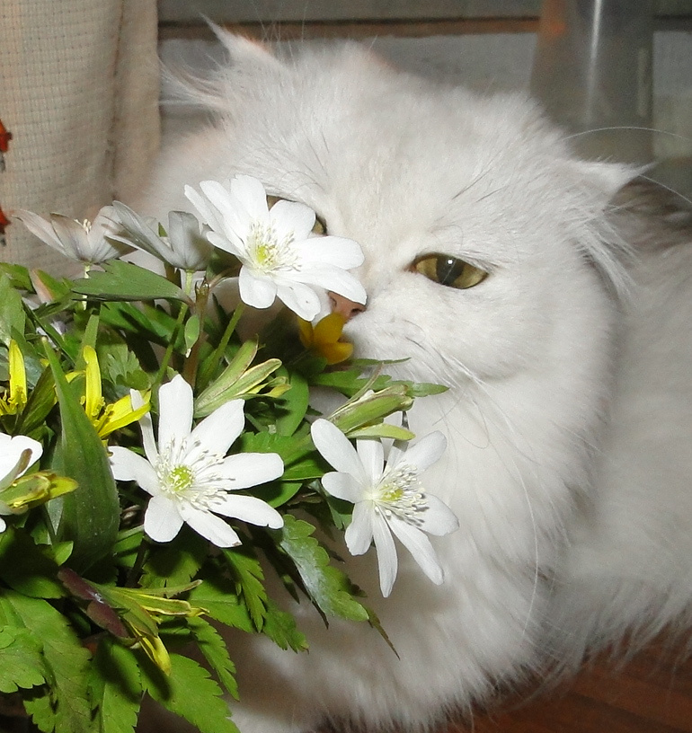 Фото из личного архива